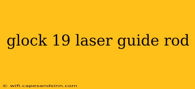 glock 19 laser guide rod