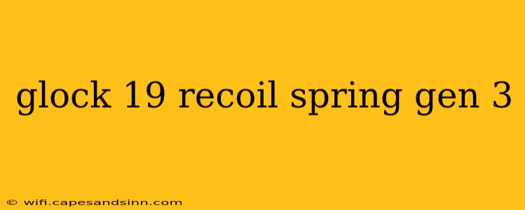 glock 19 recoil spring gen 3