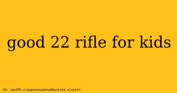 good 22 rifle for kids