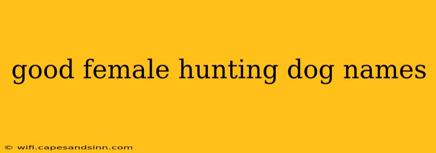 good female hunting dog names