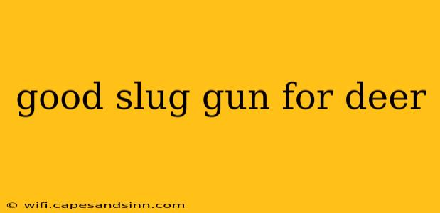 good slug gun for deer