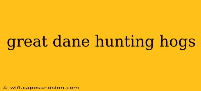 great dane hunting hogs