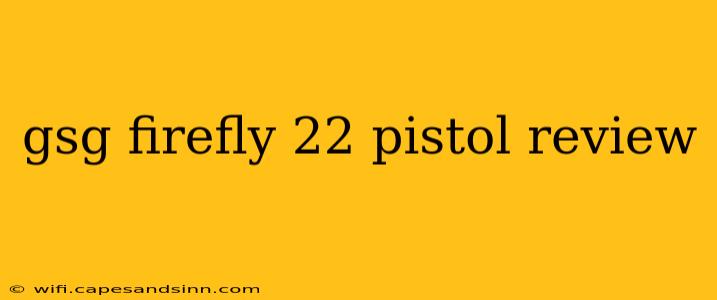 gsg firefly 22 pistol review