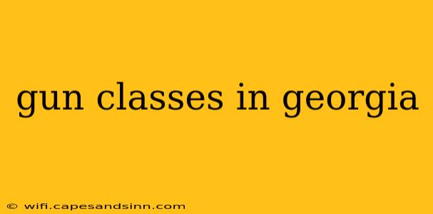 gun classes in georgia