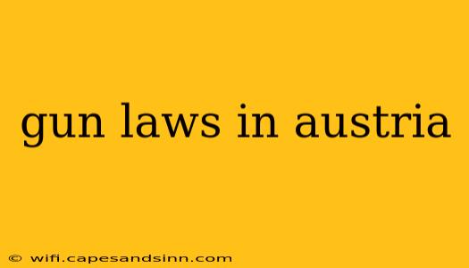 gun laws in austria