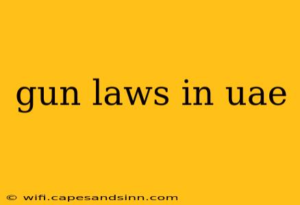 gun laws in uae