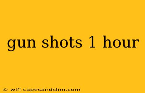 gun shots 1 hour