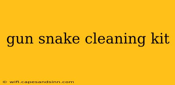 gun snake cleaning kit