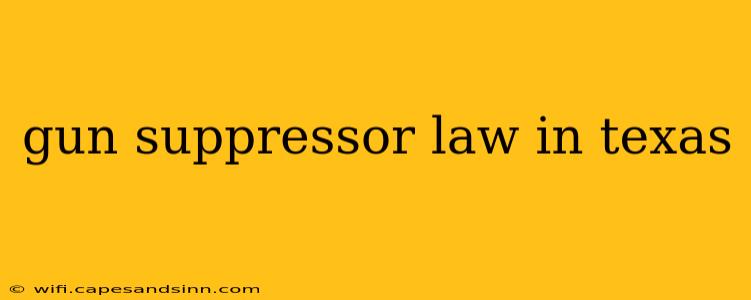 gun suppressor law in texas