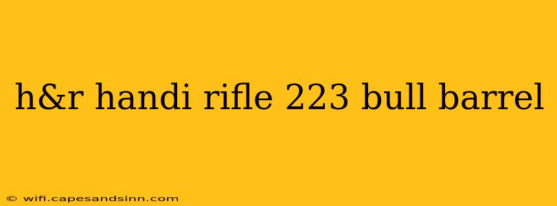 h&r handi rifle 223 bull barrel