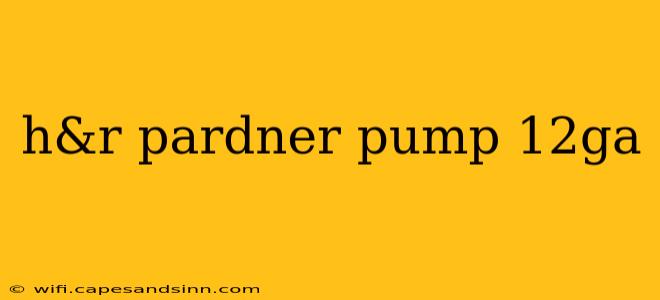 h&r pardner pump 12ga