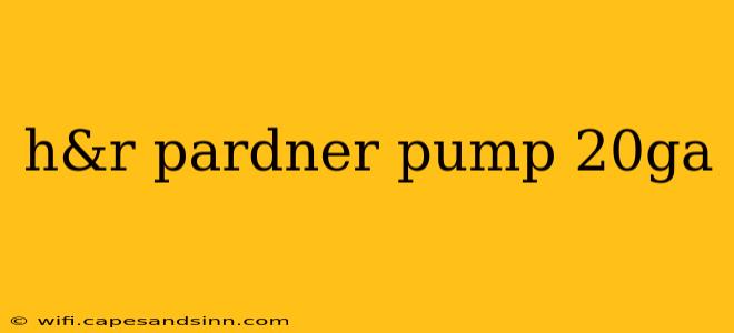 h&r pardner pump 20ga