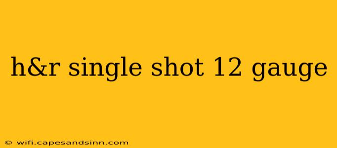 h&r single shot 12 gauge