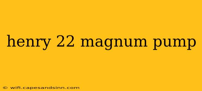 henry 22 magnum pump