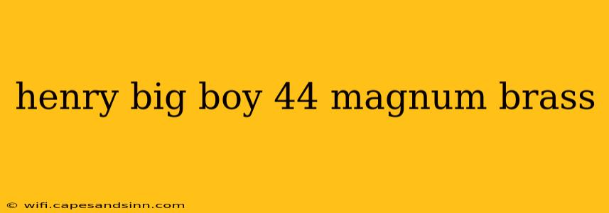 henry big boy 44 magnum brass