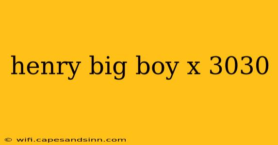 henry big boy x 3030