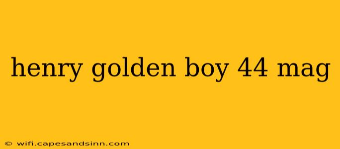 henry golden boy 44 mag