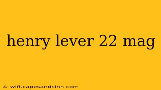 henry lever 22 mag