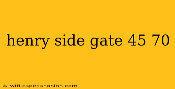 henry side gate 45 70