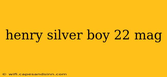 henry silver boy 22 mag