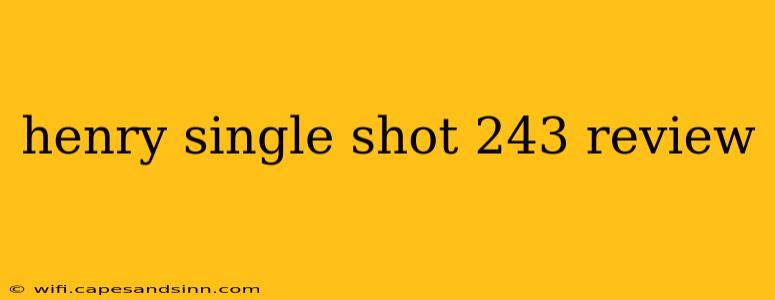 henry single shot 243 review