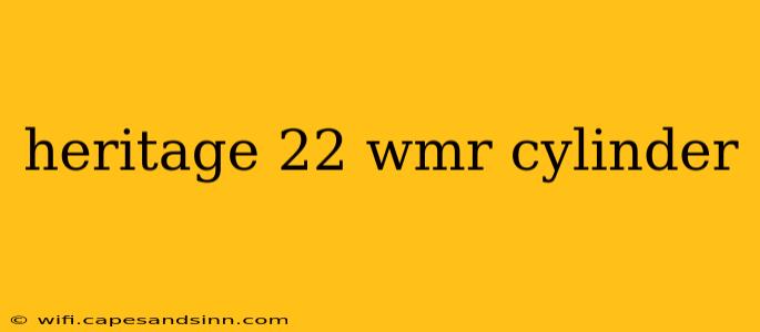 heritage 22 wmr cylinder