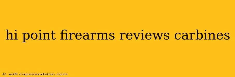 hi point firearms reviews carbines