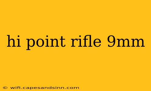 hi point rifle 9mm