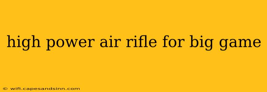 high power air rifle for big game