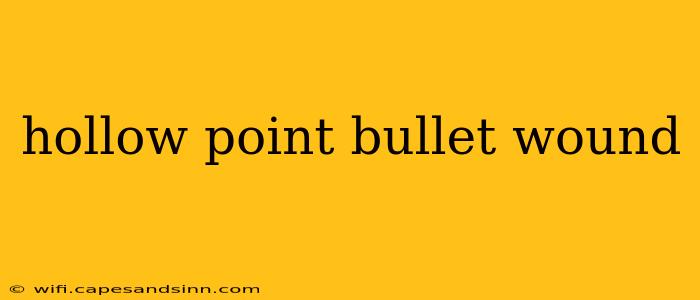 hollow point bullet wound