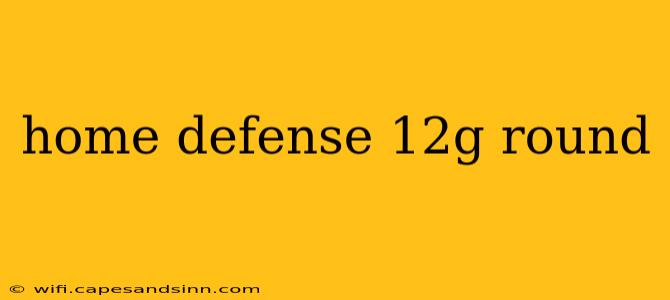 home defense 12g round