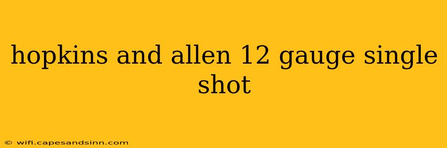 hopkins and allen 12 gauge single shot