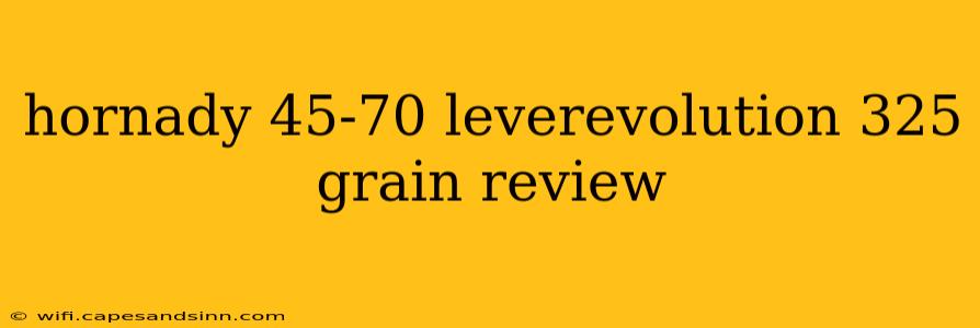 hornady 45-70 leverevolution 325 grain review