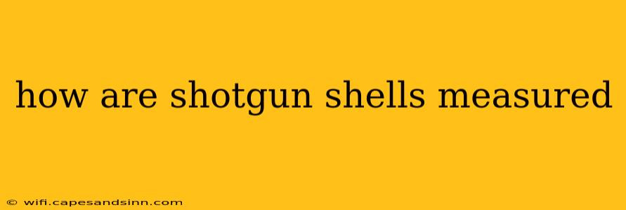 how are shotgun shells measured