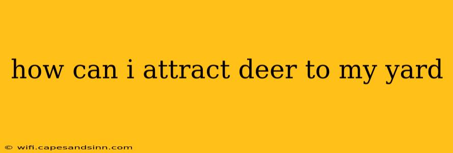 how can i attract deer to my yard