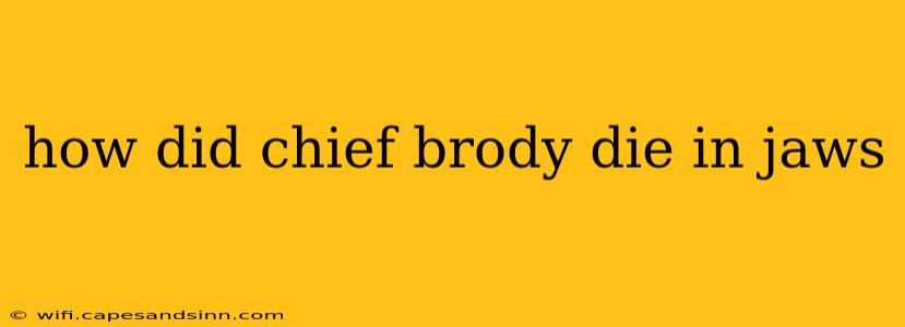 how did chief brody die in jaws