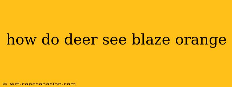 how do deer see blaze orange