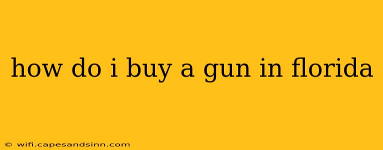 how do i buy a gun in florida