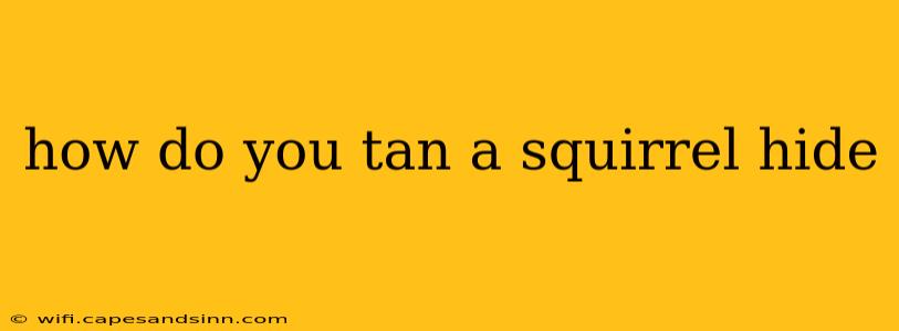 how do you tan a squirrel hide