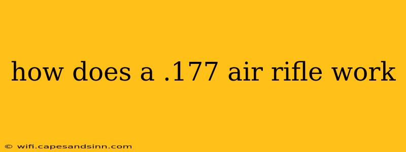 how does a .177 air rifle work