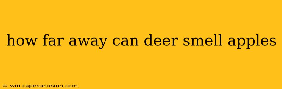 how far away can deer smell apples