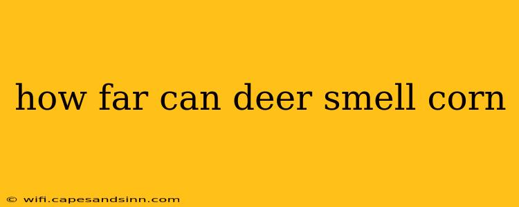 how far can deer smell corn