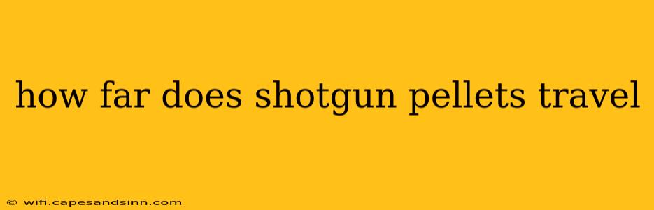 how far does shotgun pellets travel