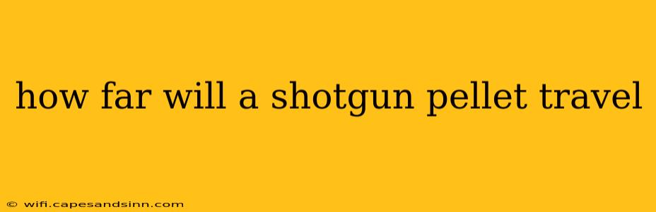 how far will a shotgun pellet travel