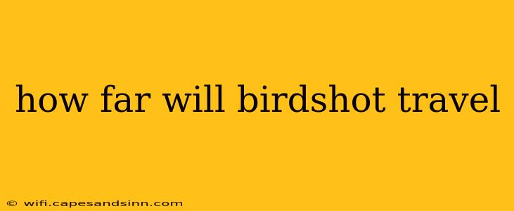 how far will birdshot travel