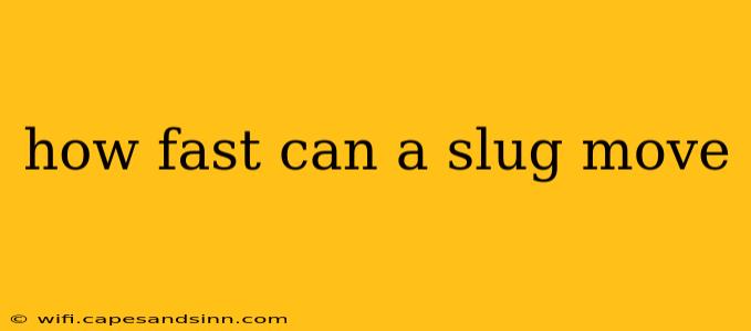 how fast can a slug move