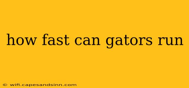 how fast can gators run