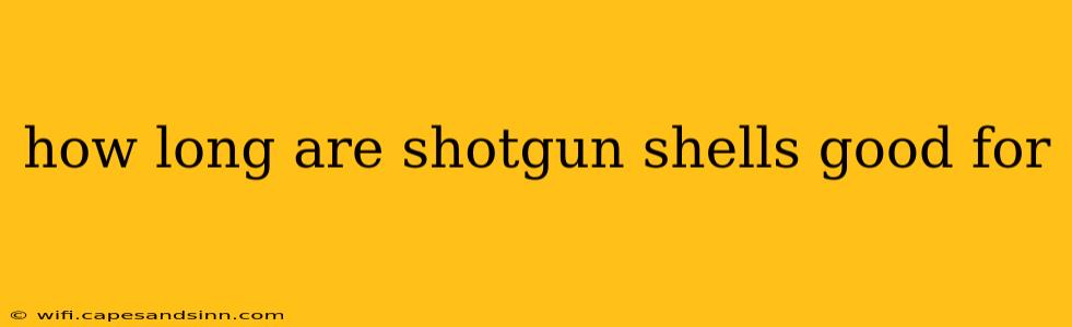 how long are shotgun shells good for