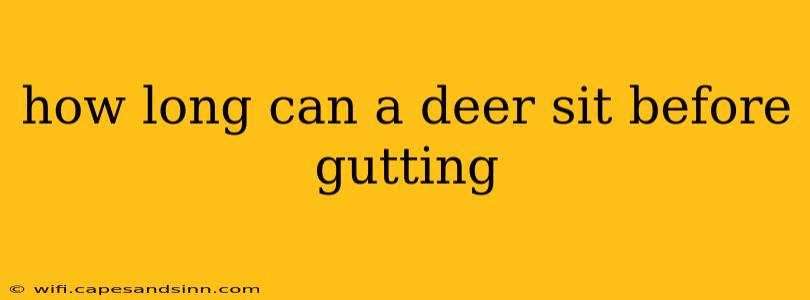 how long can a deer sit before gutting