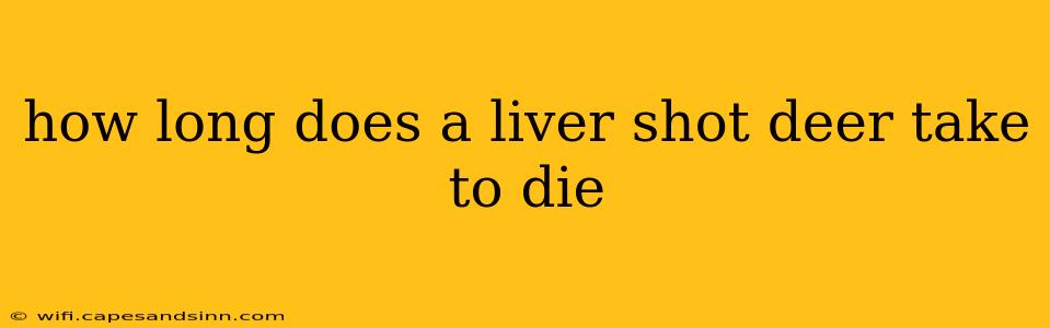 how long does a liver shot deer take to die